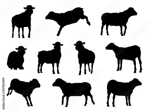 A set of sheep or lambs farm animals in silhouette