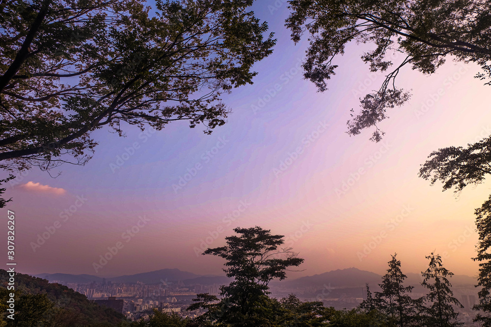 view view