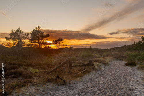 Sandy path through dunes with setting sun behind a few trees