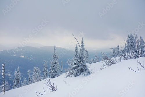 Winter landscape in Sheregesh. Frozen snow on trees. Frozen trees on a background of blue cloudy sky. A lot of snow fell in the winter cold in the mountains. Sunrise in the mountains © evelinphoto