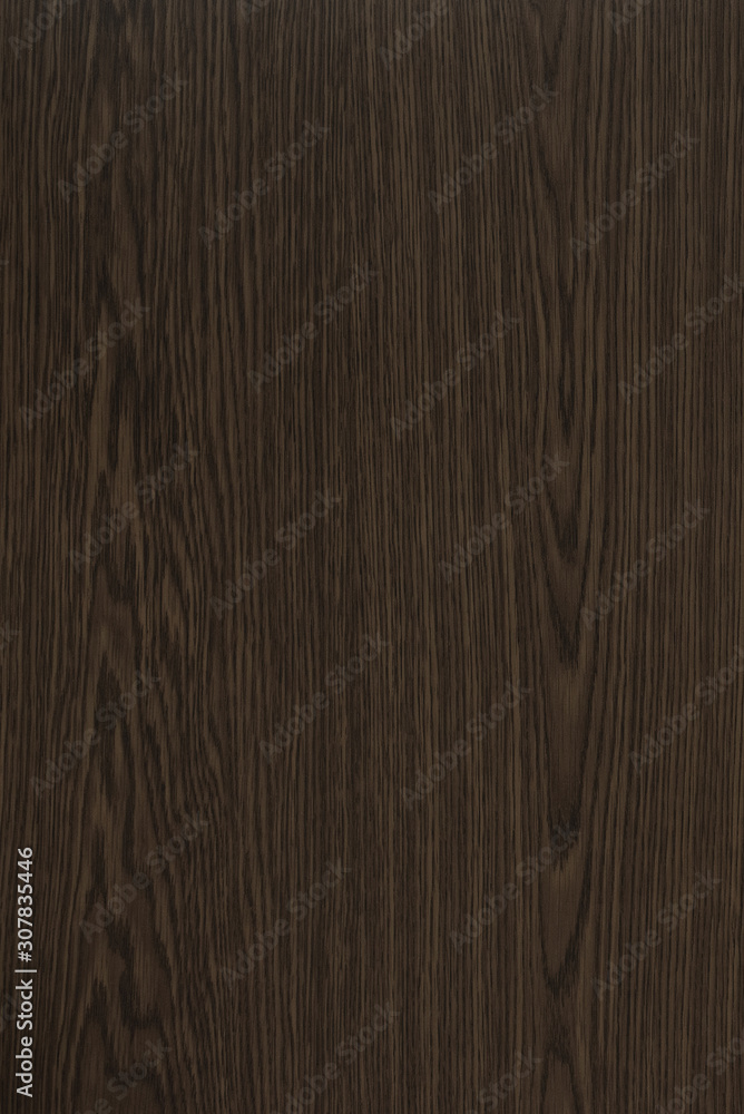 Fototapeta premium Wood background texture. Texture of wood background closeup.