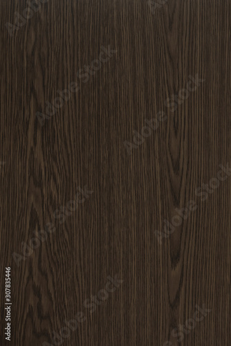 Wood background texture. Texture of wood background closeup.