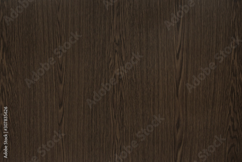 Wood background texture. Texture of wood background closeup.