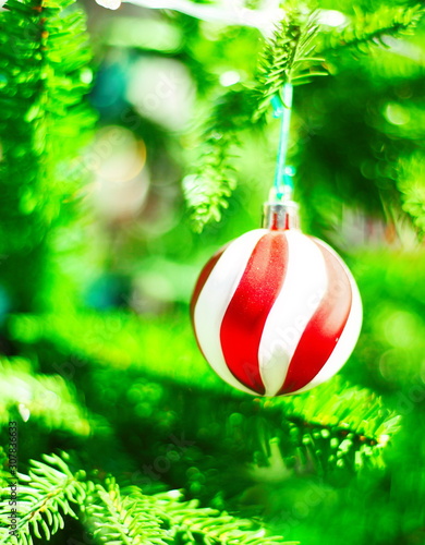 sunflower, flower, field, sky, summer, yellow, nature, agriculture, sunflowers, blue, green, plant, sun, landscape, bright, growth, leaf, farm, meadow, rural, sunny, beautiful, crop,red christmas ball
