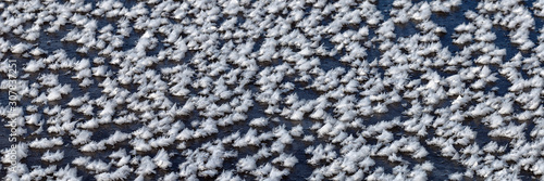 Water in winter, frost, meadows in winter. frozen lake, rivers