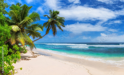 Fototapeta Naklejka Na Ścianę i Meble -  Paradise Sunny beach with palms and turquoise sea. Summer vacation and tropical beach concept.