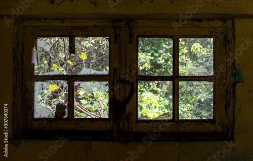 window in a wooden house