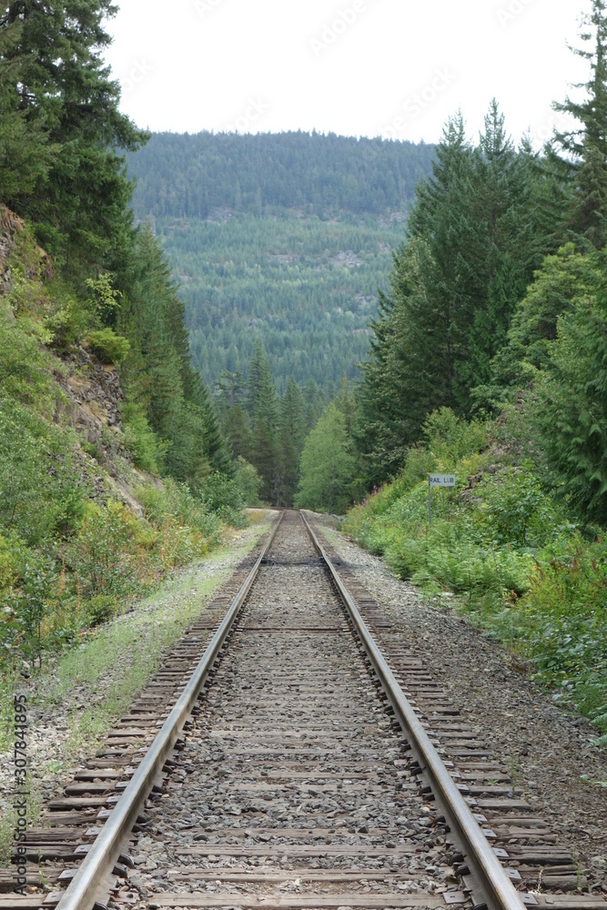 Fototapeta premium paysage voie de chemin de fer