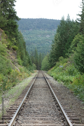 paysage voie de chemin de fer