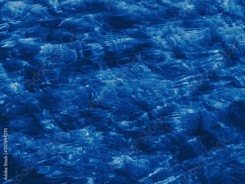 Algae in clear water. Classic blue nature trend background. Color of the year 2020