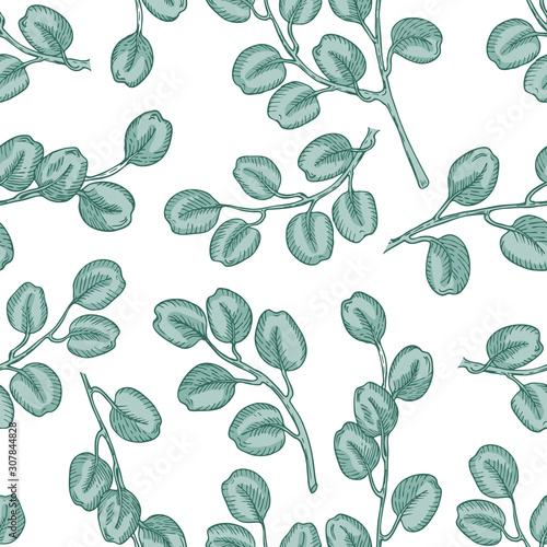 Seamless pattern of eucalyptus branches on white background. Hand drawn vector illustration with contour lines. Colorful floral print.