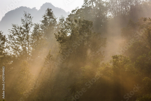 Morning sunlight through trees with distant mountain, Northern Vietnam