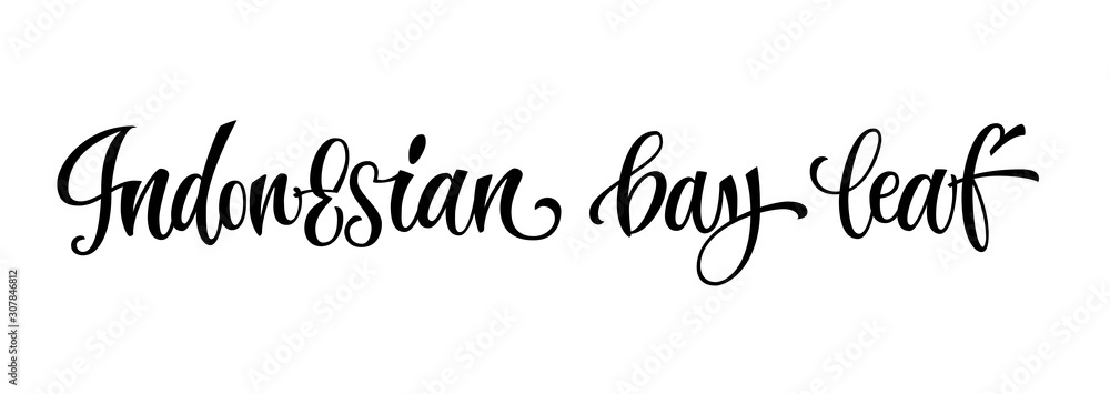 Hand drawn spice label - Indonesian bay leaf. Vector lettering design element. Isolated calligraphy script style word for labels, shop design, cafe decore etc Hand drawn spice label - Indonesian bay leaf. Vector lettering design element. Isolated calligraphy script style word for labels, shop design, cafe decore etc