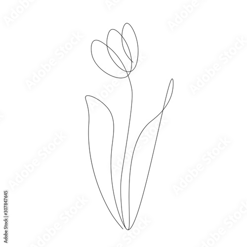 Spring flowers on white background. Continuous line drawing
