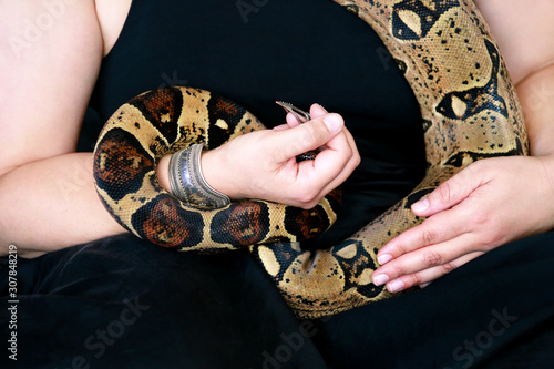 Female hands with snake, close up. Woman holds Boa constrictor snake in hands with jewelry. Exotic tropical cold blooded reptile animal, Boa constrictor non poisonous species of snake. Pet concept.
