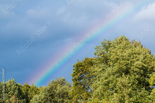 Rainbow over a trees lit by the sun on the background of thunderclouds