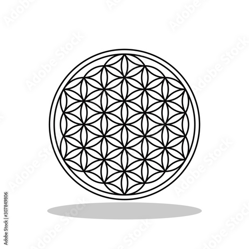 Flower of Life icon in flat style. Pattern of circles symbol for your web site design, logo, app, UI Vector EPS 10.