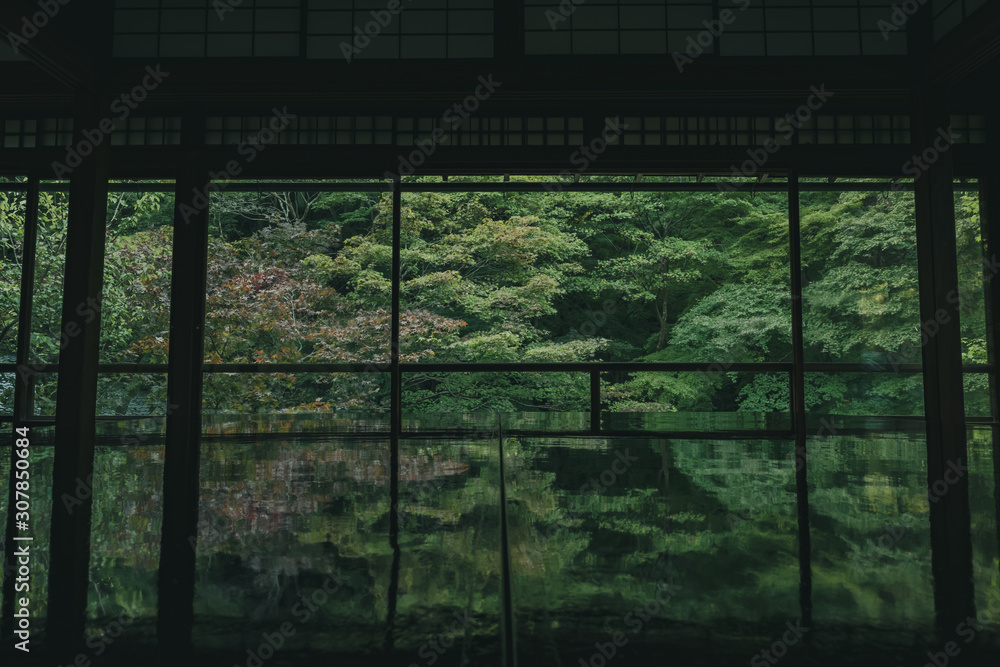 Naklejka premium 京都 お寺 寺 紅葉 光明寺 寺社仏閣 写真素材 
