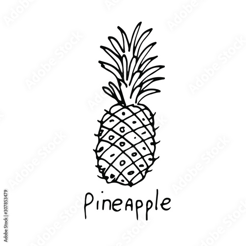 A pineapple. Icon food image. Doodle drawing, simple hand drawn illustration on white backgroung. Design for coloring book page