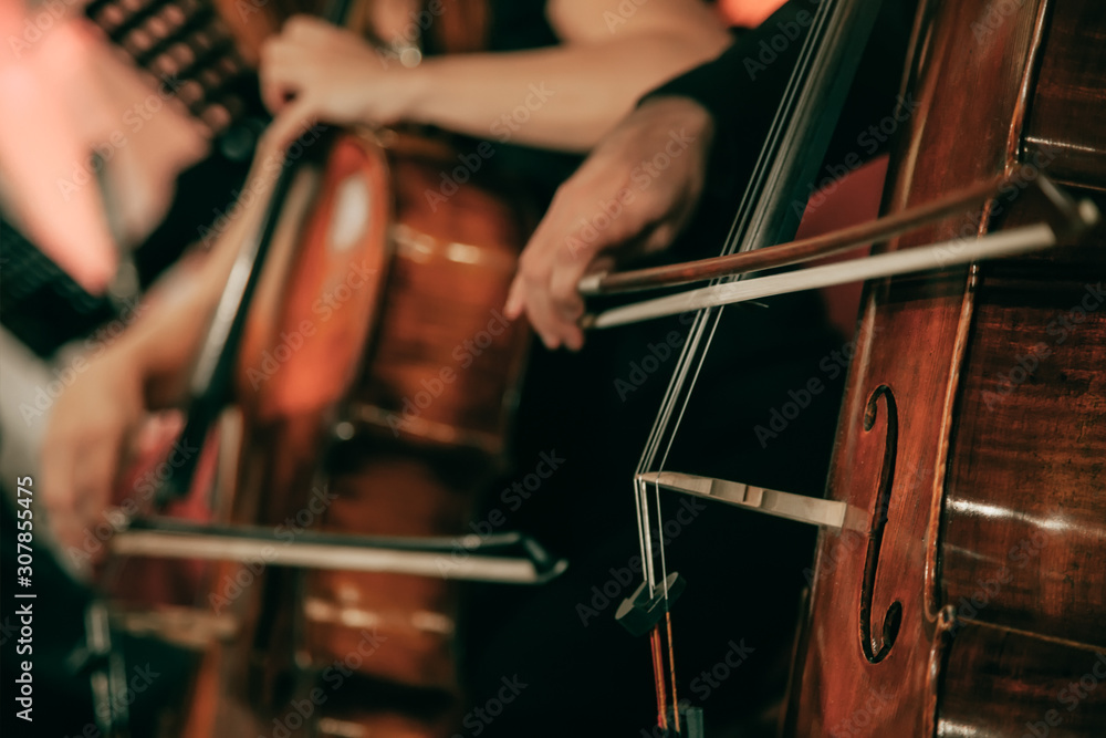 Fototapeta Symphony orchestra on stage, hands playing cello. Shallow depth of field, vintage style.
