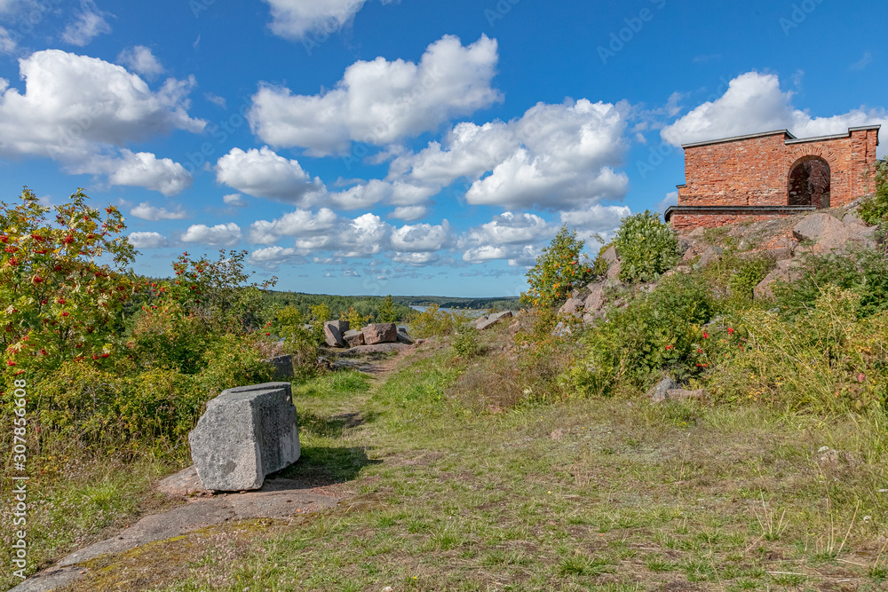 The nature of the islands of Finland, northern flora. Flora of islands in the Baltic Sea on the cliffs of the Åland Islands in summer