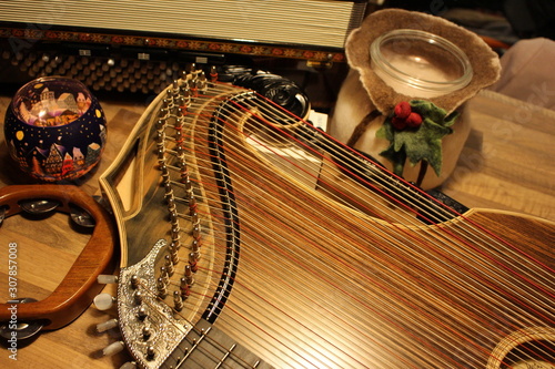 фотографія Zither Party
