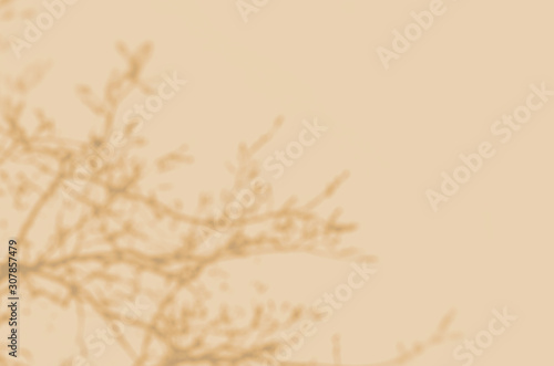 Summer background of shadows branch leaves on a wall for overlaying a photo or mockup