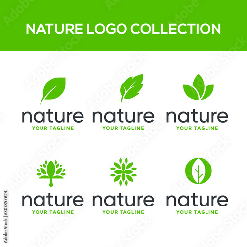 leaf or nature vector logo template for all company in white background