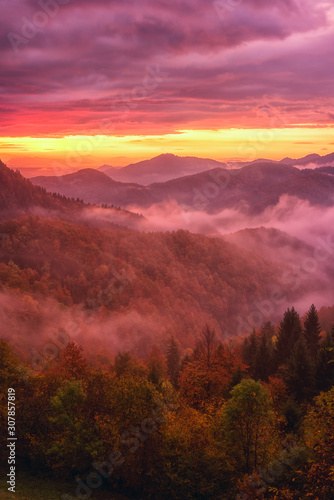 Amazing nature landscape, misty colorful sunrise in Alps, scenic view of wooded mountains with autumn trees and dramatic cloudy sky. Outdoor travel background, Jamnik, Slovenia, vertical image