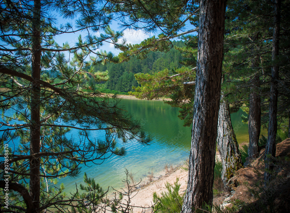 Obraz premium Lake Arvo in the woods of Sila. Calabria. Italy