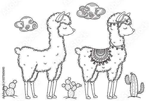 Vector baby llama cartoons, black silhouette for coloring.