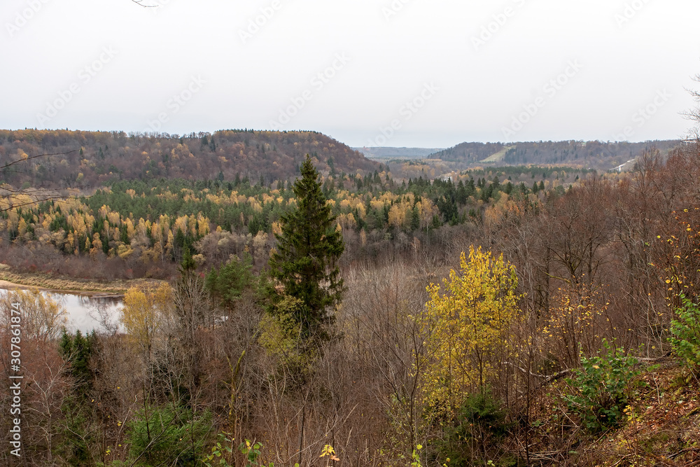 autumn city. autumn forest, sky, clouds, forest autumn city. autumn forest, sky, clouds, forest