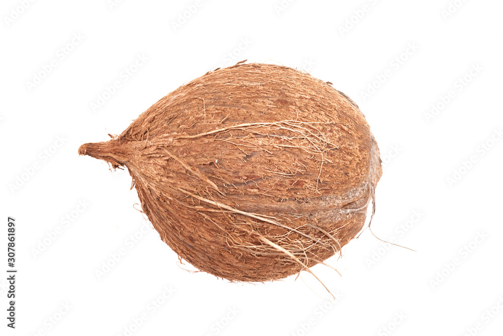 Coconut isolated on the white background. Coconut isolated on the white background.