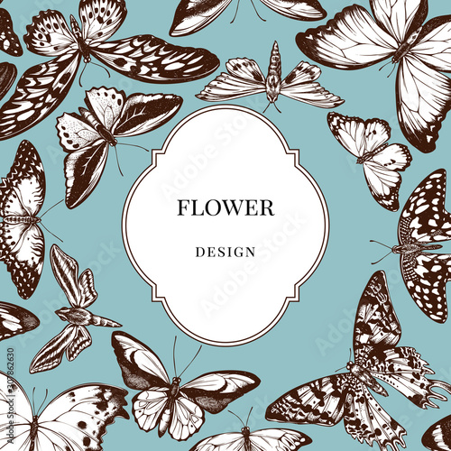 Badge over design with papilio ulysses, morpho menelaus, papilio demoleus, cethosia biblis, papilio antimachus, alcides agathyrsus, ornithoptera priamus, ornithoptera croesus lydius, graphium weiskei
