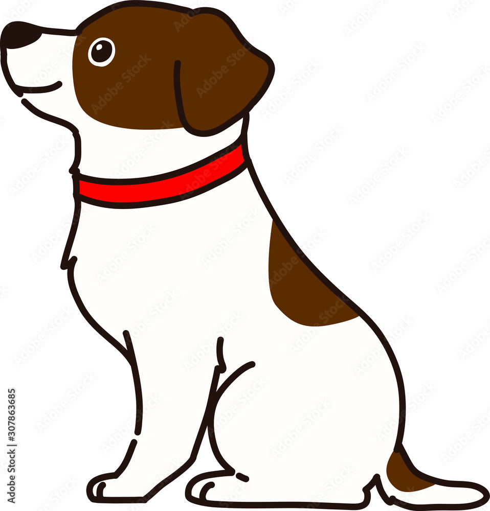 Fototapeta premium Outlined Jack Russell Terrier sitting side view with red collar
