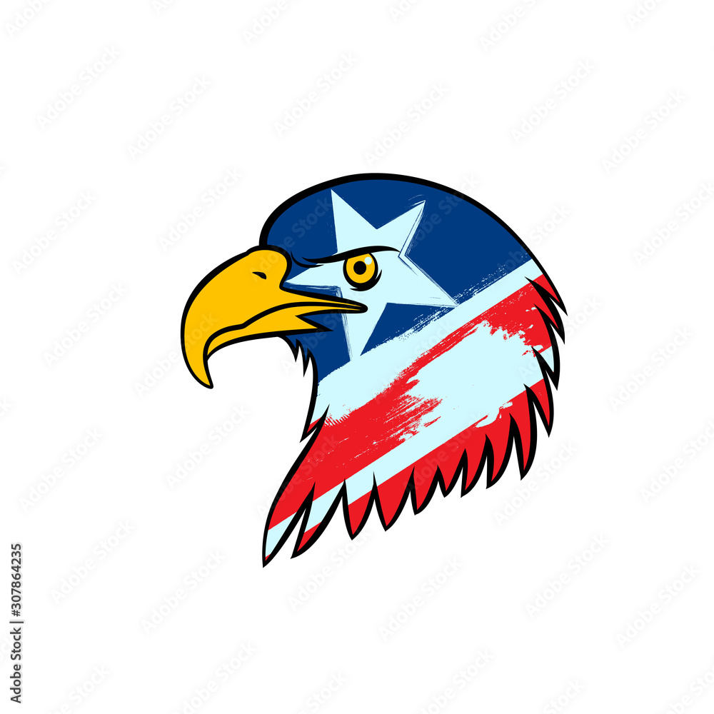 Fototapeta American Eagle American Flag paint