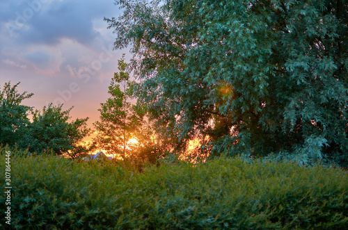 Sunset between trees in summer in rural Europe