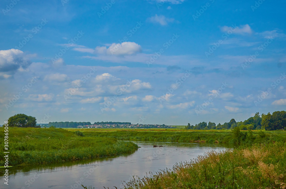 Fototapeta premium Peaceful rural summer european landscape with green trees and water