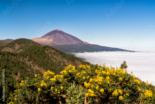 Teide mount volcano Tenerife island in canary islands spain