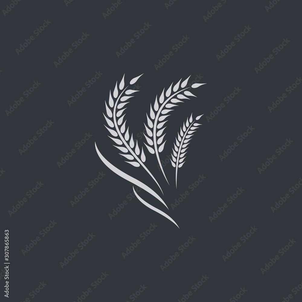Wheat logo vector icon Wheat logo vector icon