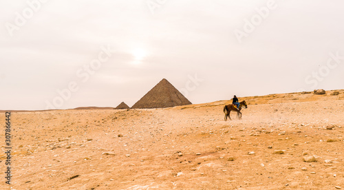 Horse in Giza Pyramids in Cairo Egypt