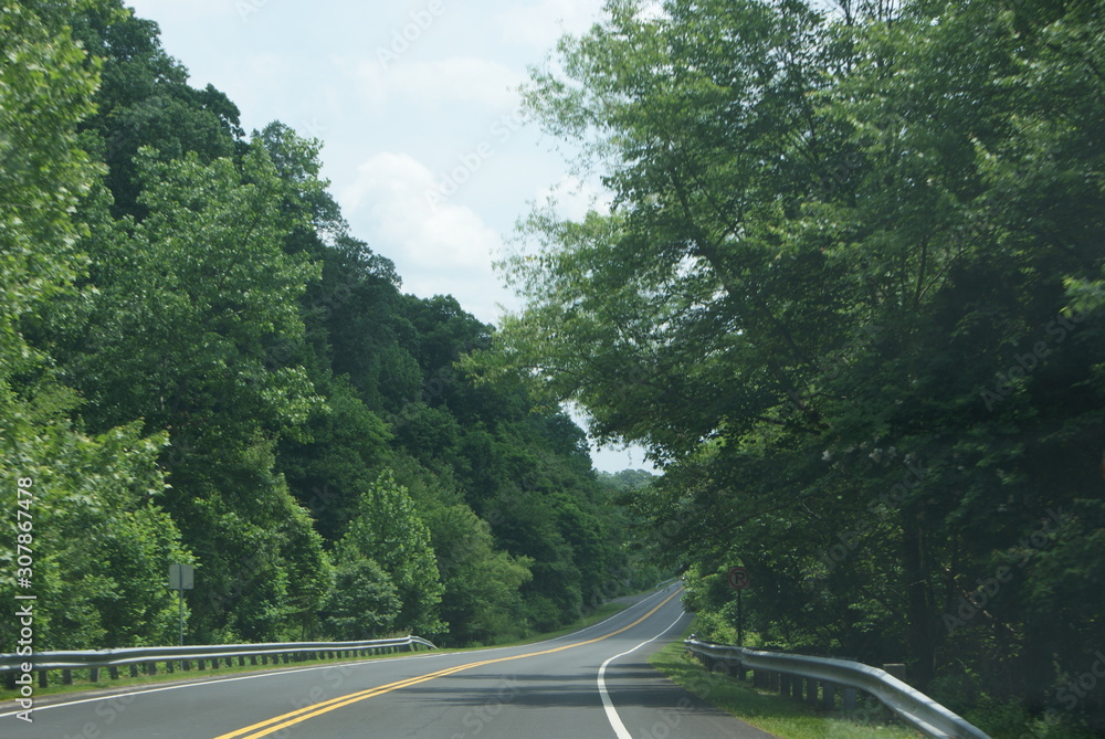 highway leading into the distance among green trees