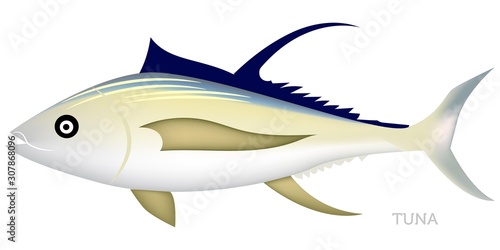 Tuna fish isolated on white background