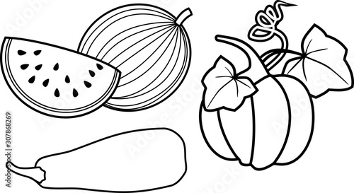 Coloring page. Set of different gourd vegetables: pumpkin, zucchini and watermelon