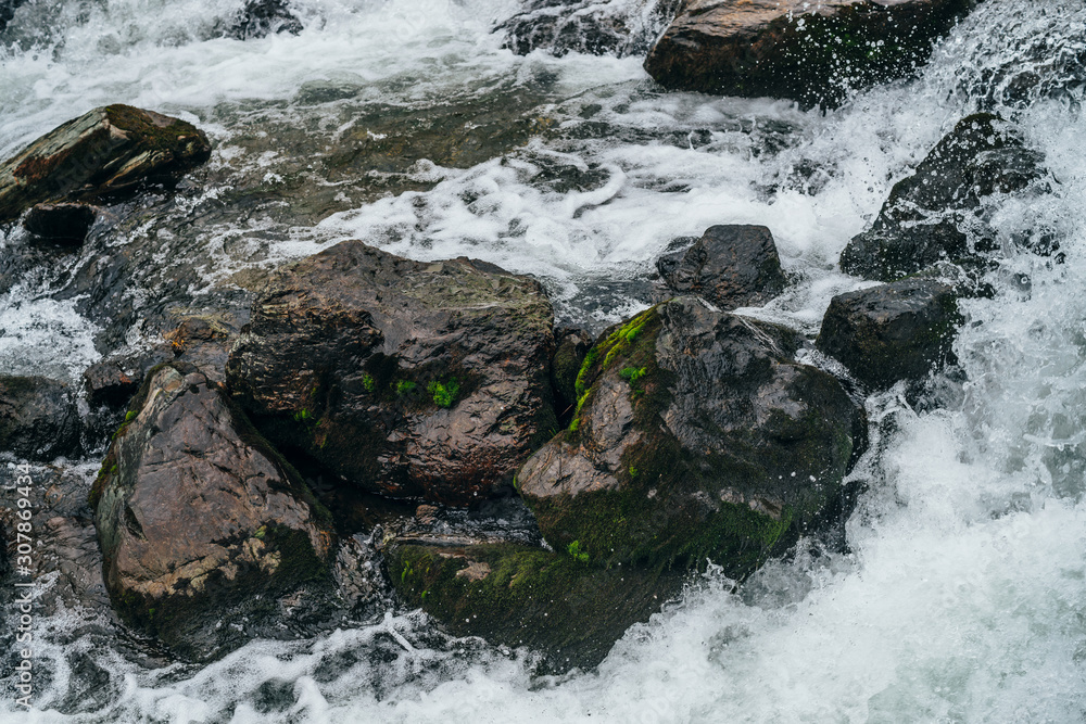 Big stones with moss and lichen in water riffle of mountain river. Powerful water stream of mountain creek. Natural textured rapid background of fast flow of mountain brook. Mossy boulders close-up.