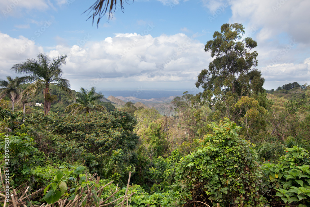 Cuba. View from a hill covered with jungle to the highlands and sea on the horizon..