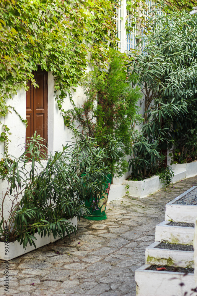 Perfect Mediterranean background, door in the garden Perfect Mediterranean background, door in the garden