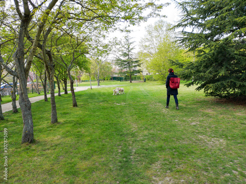 promener son chien au parc 