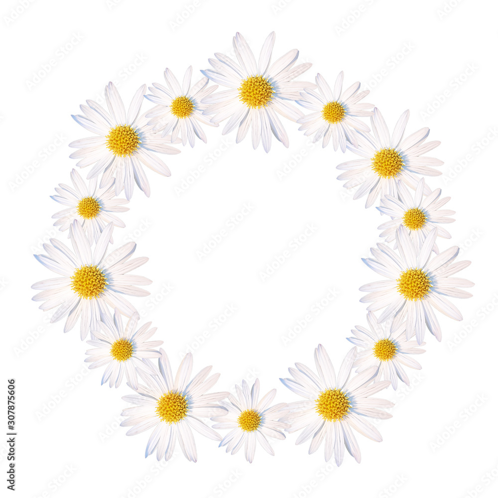 Wreath of daisy flower heads isolated on a white background. Simple frame of white chamomiles. Summer floral border for save the date design. Round space for text Wreath of daisy flower heads isolated on a white background. Simple frame of white chamomiles. Summer floral border for save the date design. Round space for text