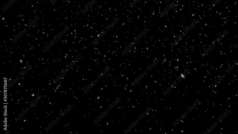 Snow falling snow isolated on black background Snow falling snow isolated on black background